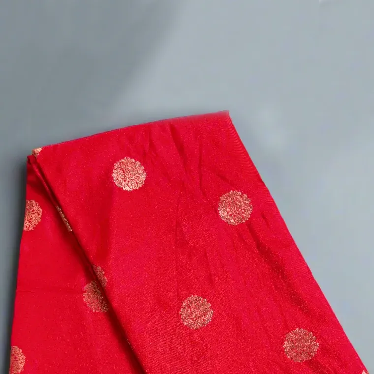 AI on-model saree shot 2
